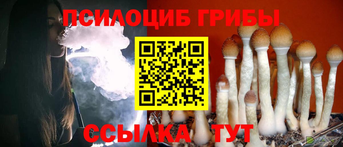 Королёв  Галлюциногенные грибы ЛСД  Вход с VPN 